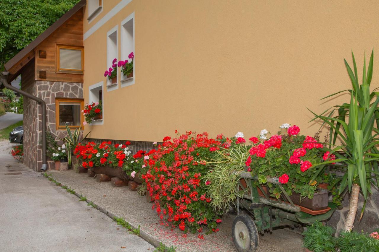 Apartamento Apartma Erlah Bohinj Exterior foto